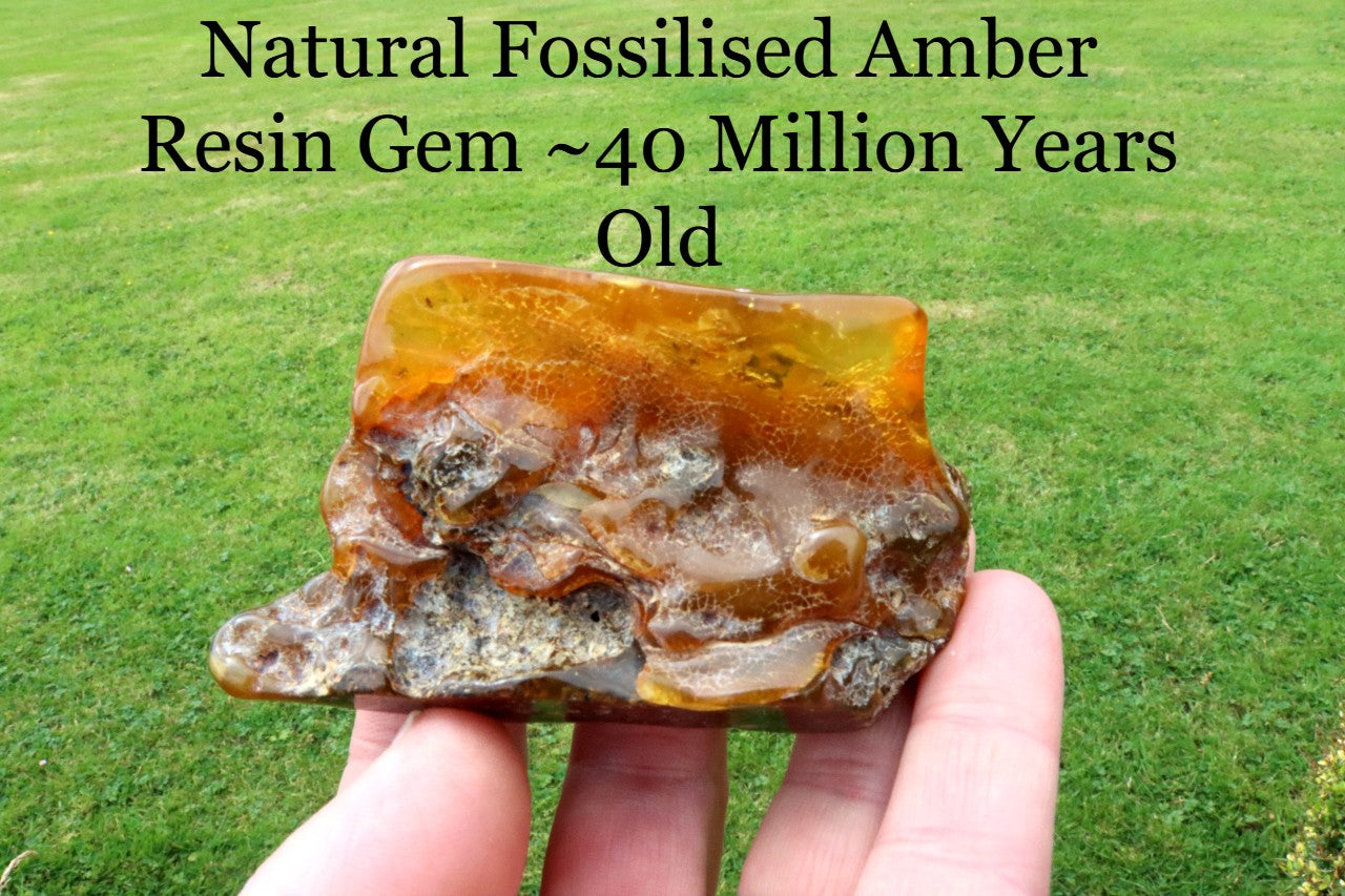 Unique Baltic Amber Stone | Natural Fossilised Amber  Resin Gem ~40 Million Years Old