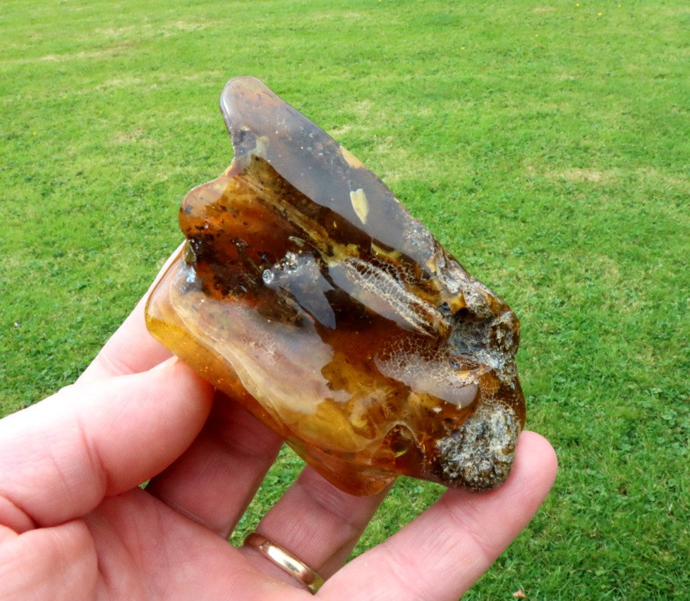 Unique Baltic Amber Stone | Natural Fossilised Amber  Resin Gem ~40 Million Years Old