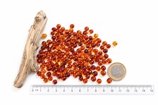 Genuine Honey Baltic Amber Beads 10g – Approx. 90 Drilled Baroque Beads 5mm