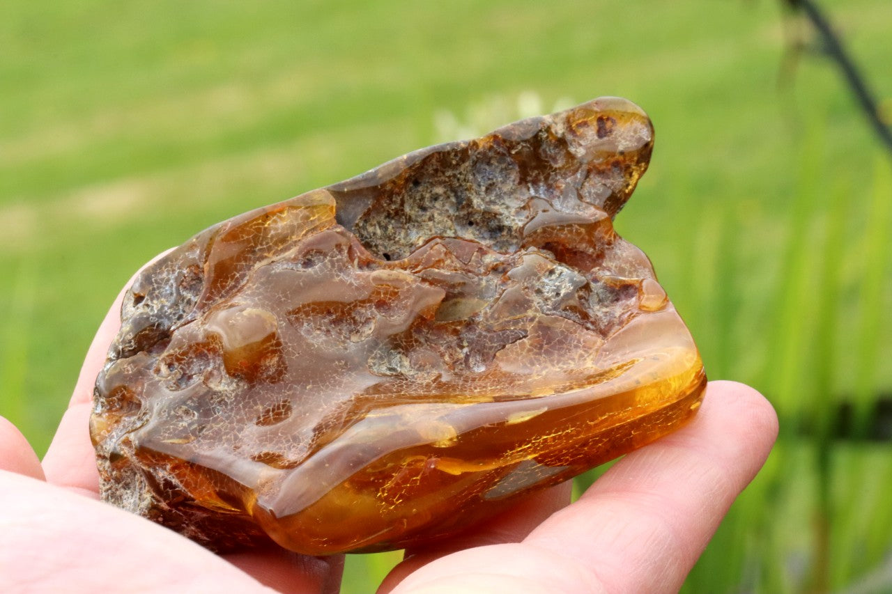 Unique Baltic Amber Stone | Natural Fossilised Amber  Resin Gem ~40 Million Years Old
