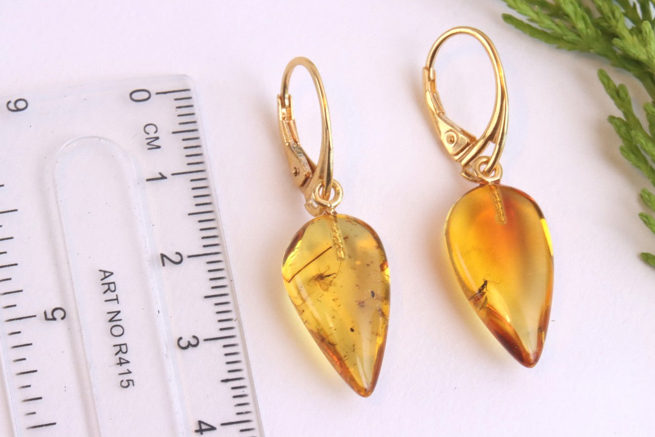 Amber Earrings with Insect Inclusions