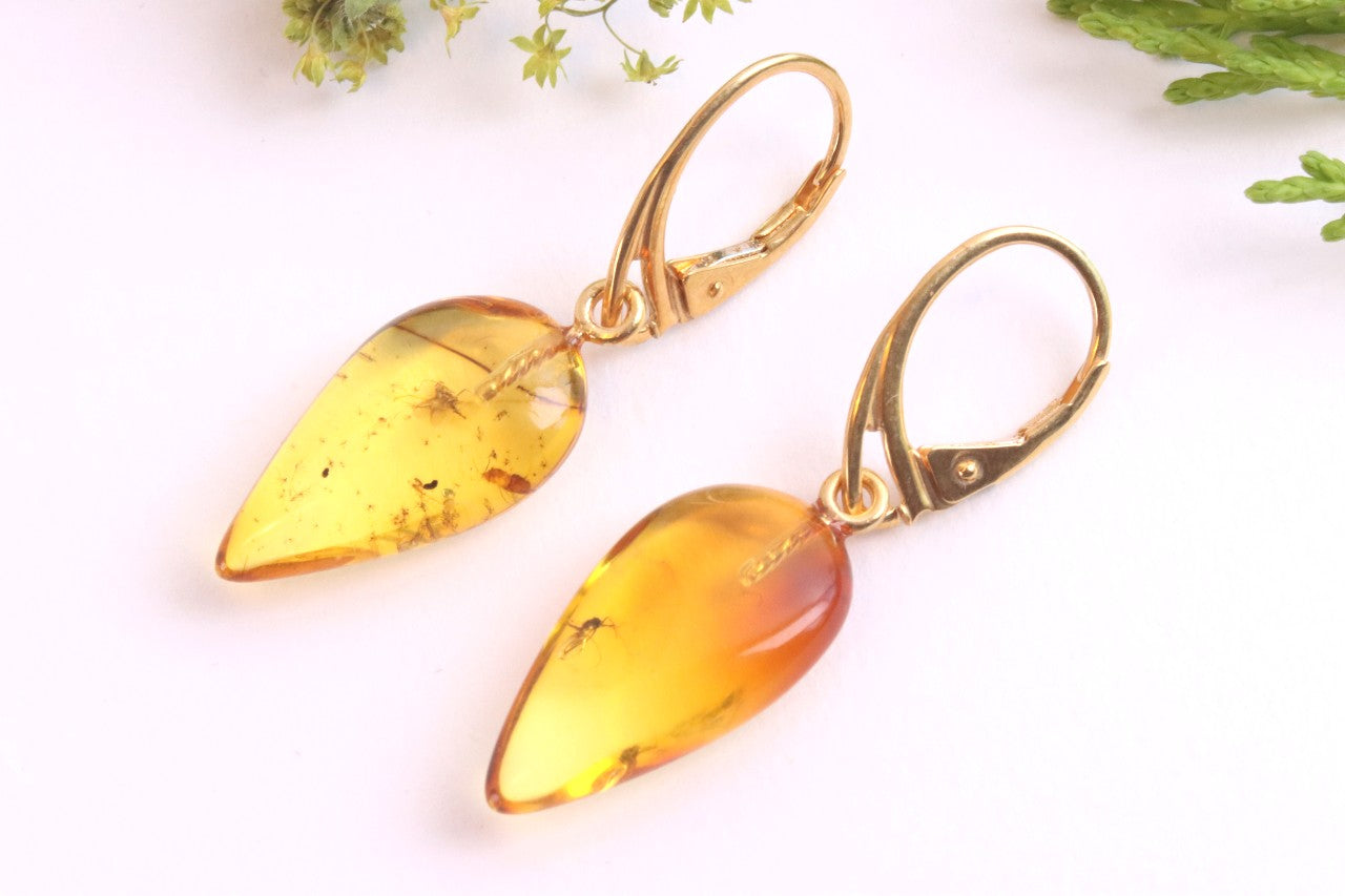 Amber Earrings with Insect Inclusions