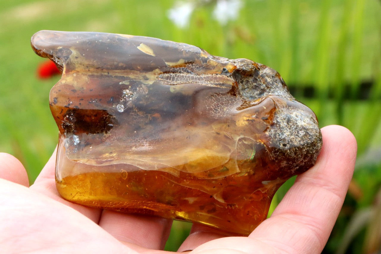 Unique Baltic Amber Stone | Natural Fossilised Amber  Resin Gem ~40 Million Years Old