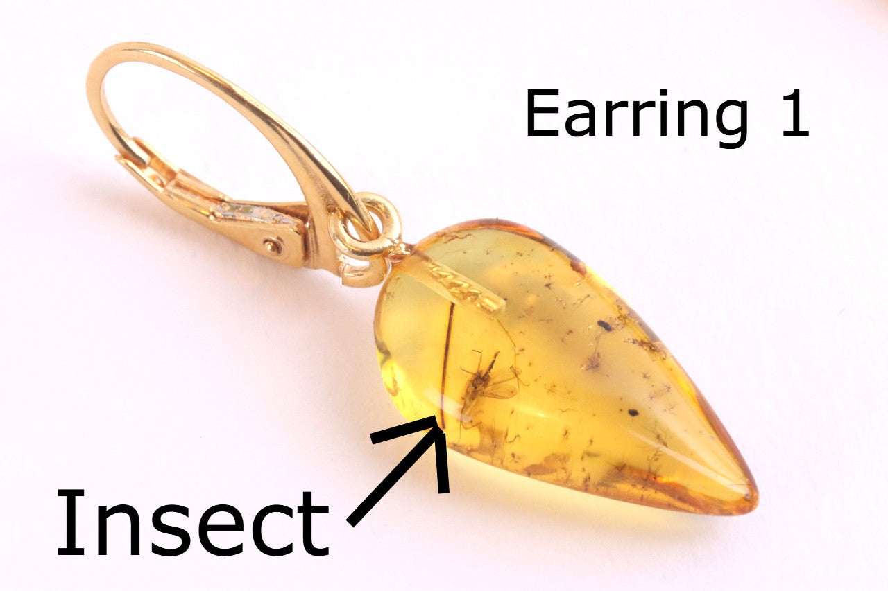 Amber Earrings with Insect Inclusions