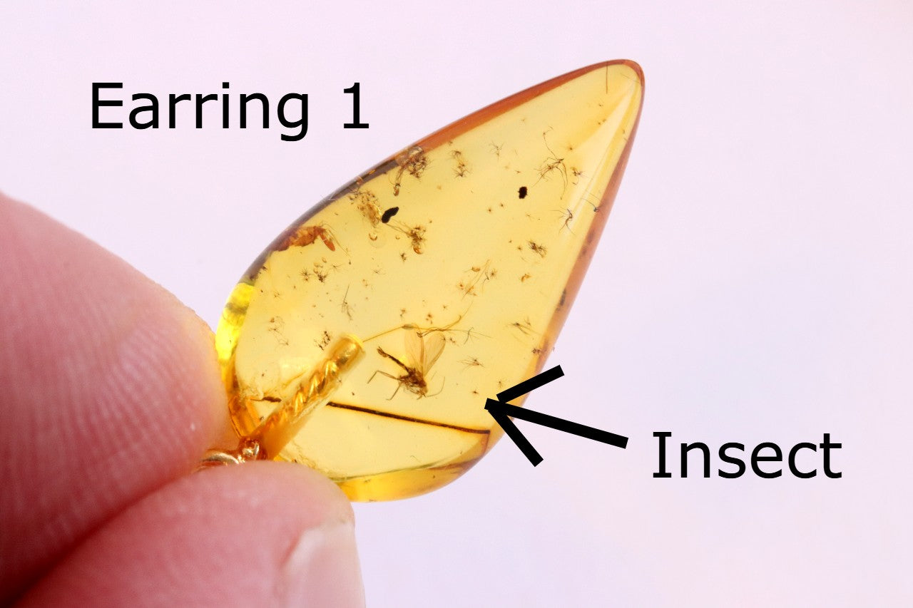 Amber Earrings with Insect Inclusions