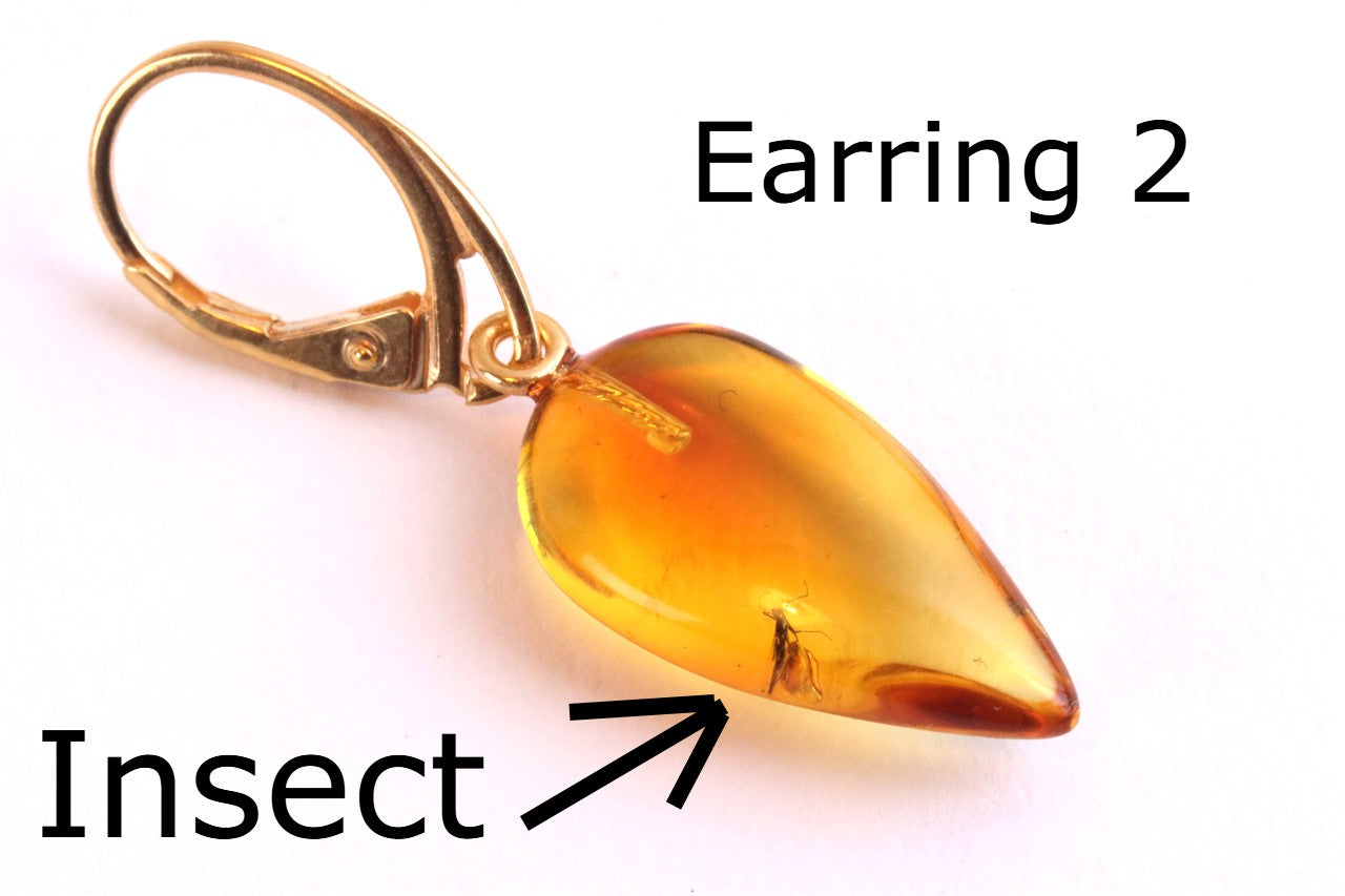 Amber Earrings with Insect Inclusions