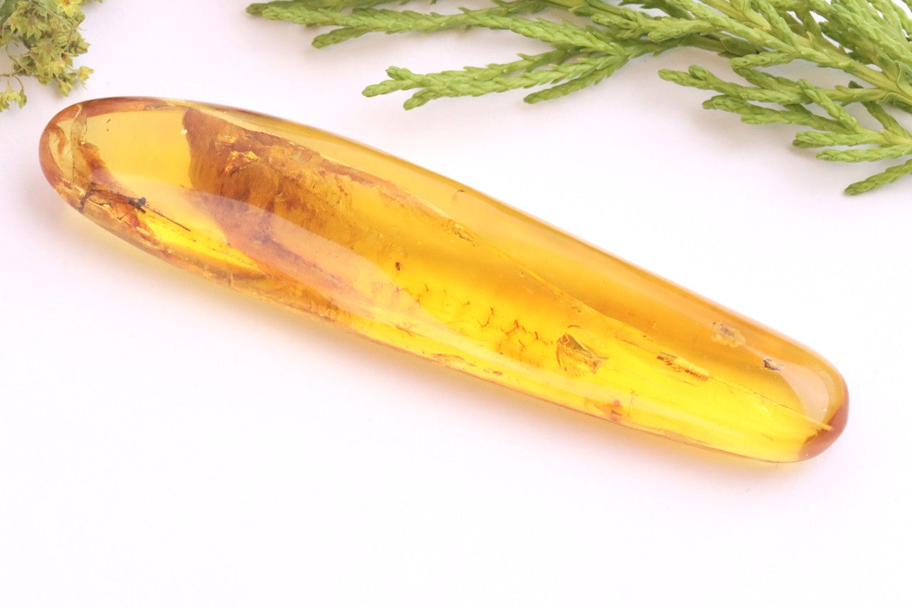 40 Million-Year-Old Baltic Amber with 4 Insect Inclusions