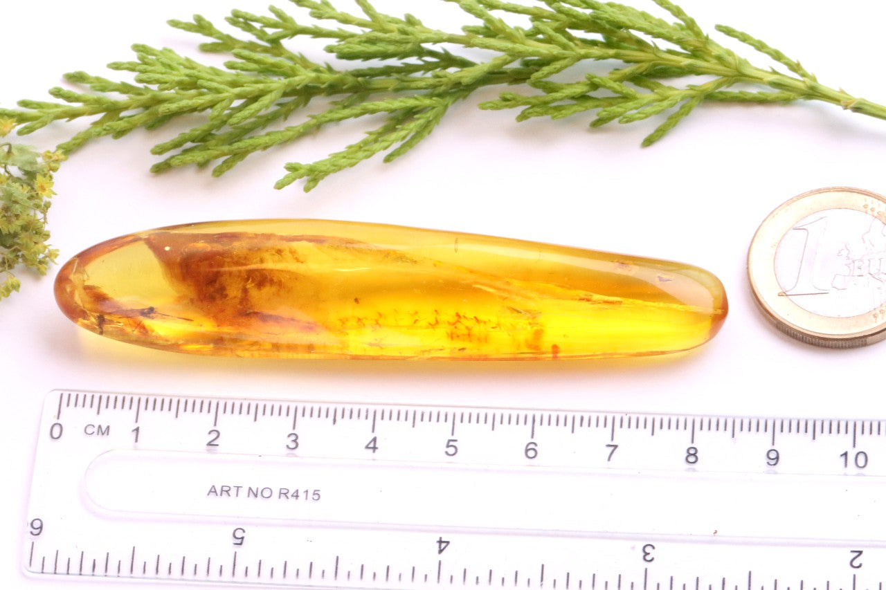 40 Million-Year-Old Baltic Amber with 4 Insect Inclusions