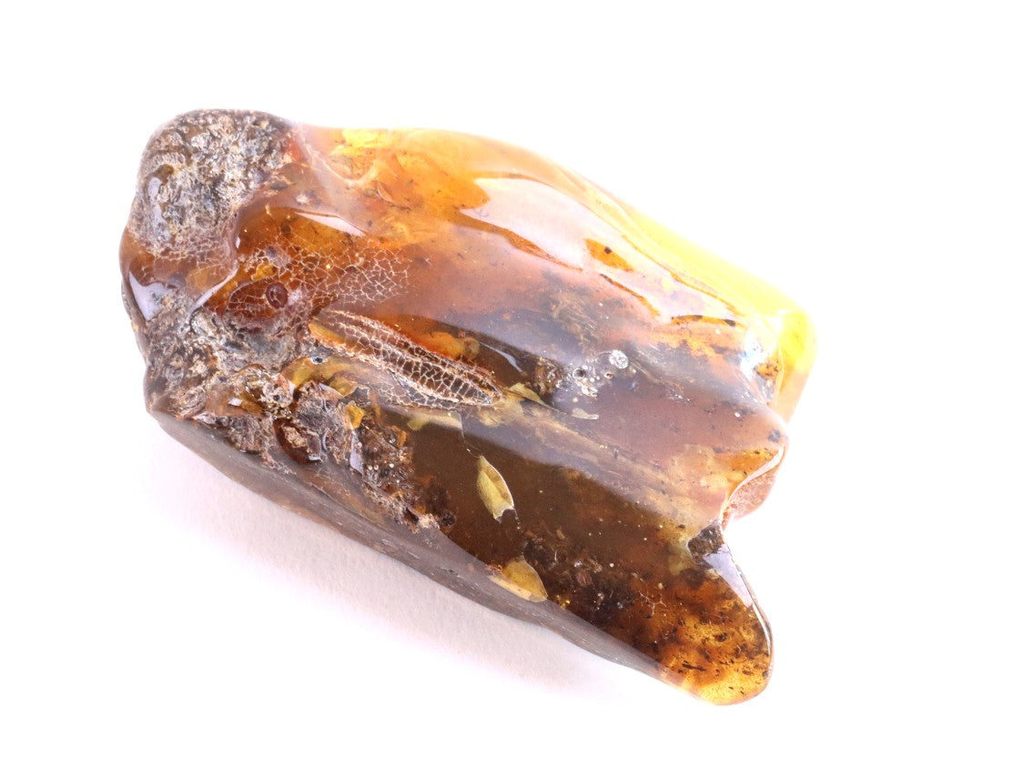 Unique Baltic Amber Stone | Natural Fossilised Amber  Resin Gem ~40 Million Years Old