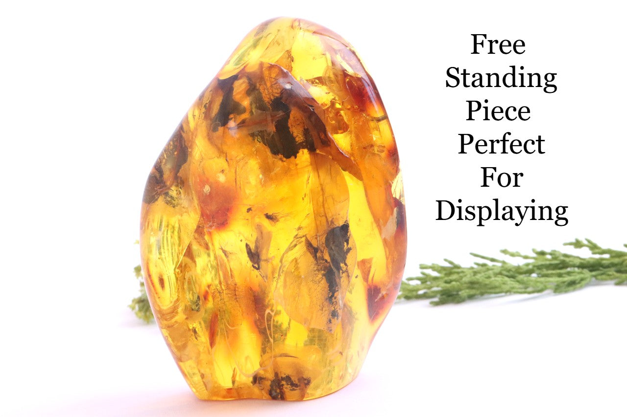 Amber Insect Inclusion Museum Collector's gem With 3 X Insect Inclusions