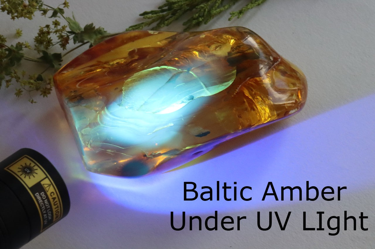 Amber Insect Inclusion Museum Collector's gem With 3 X Insect Inclusions