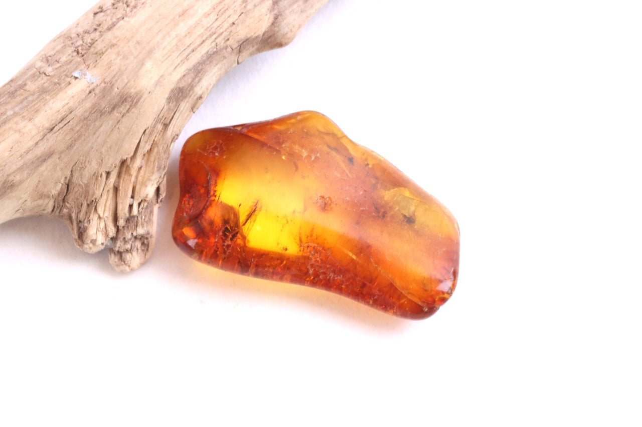 Baltic Amber Gem with 3 Insects Inclusion