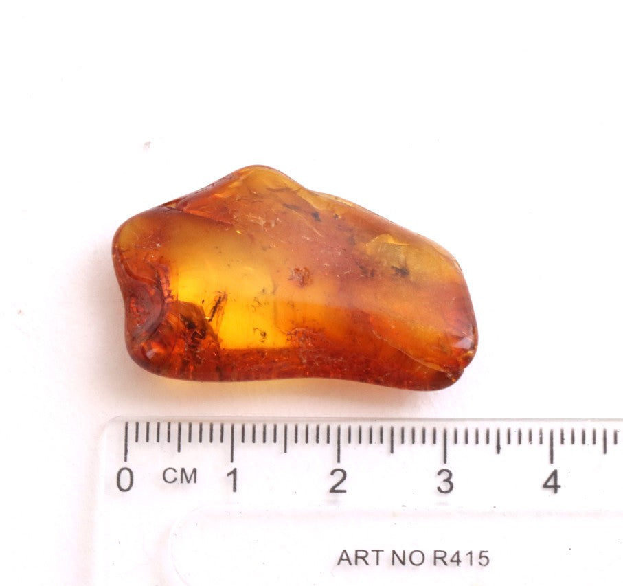 Baltic Amber Gem with 3 Insects Inclusion