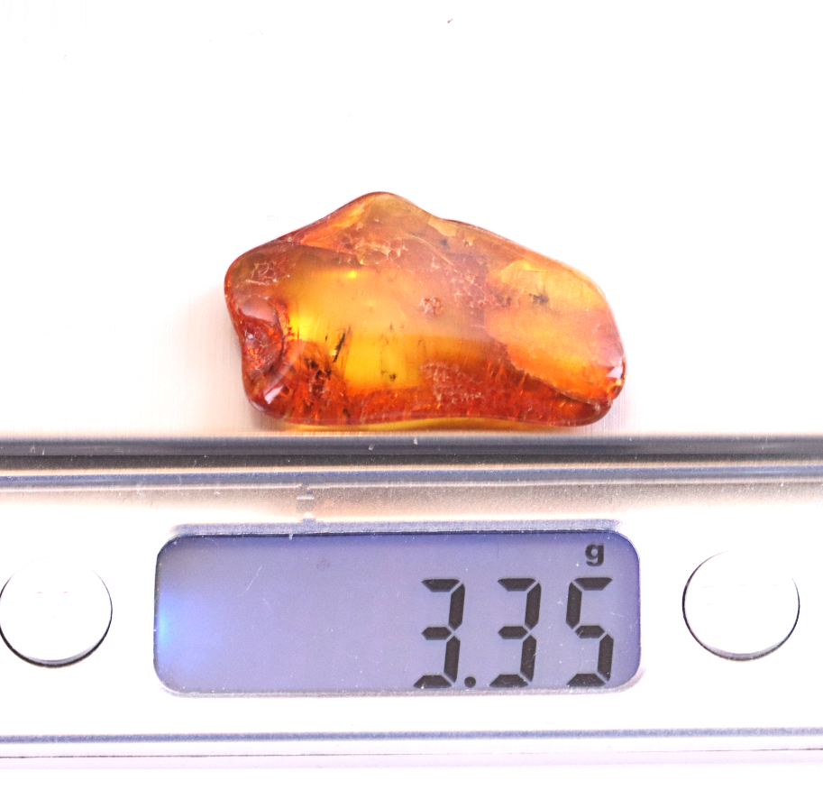 Baltic Amber Gem with 3 Insects Inclusion