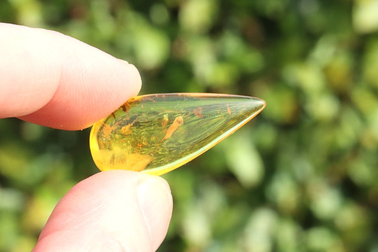 Tiny Insect in Amber | Natural Gemstone for Collectors & Jewellery Making