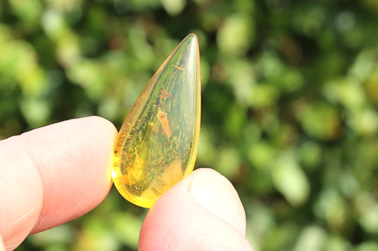 Tiny Insect in Amber | Natural Gemstone for Collectors & Jewellery Making