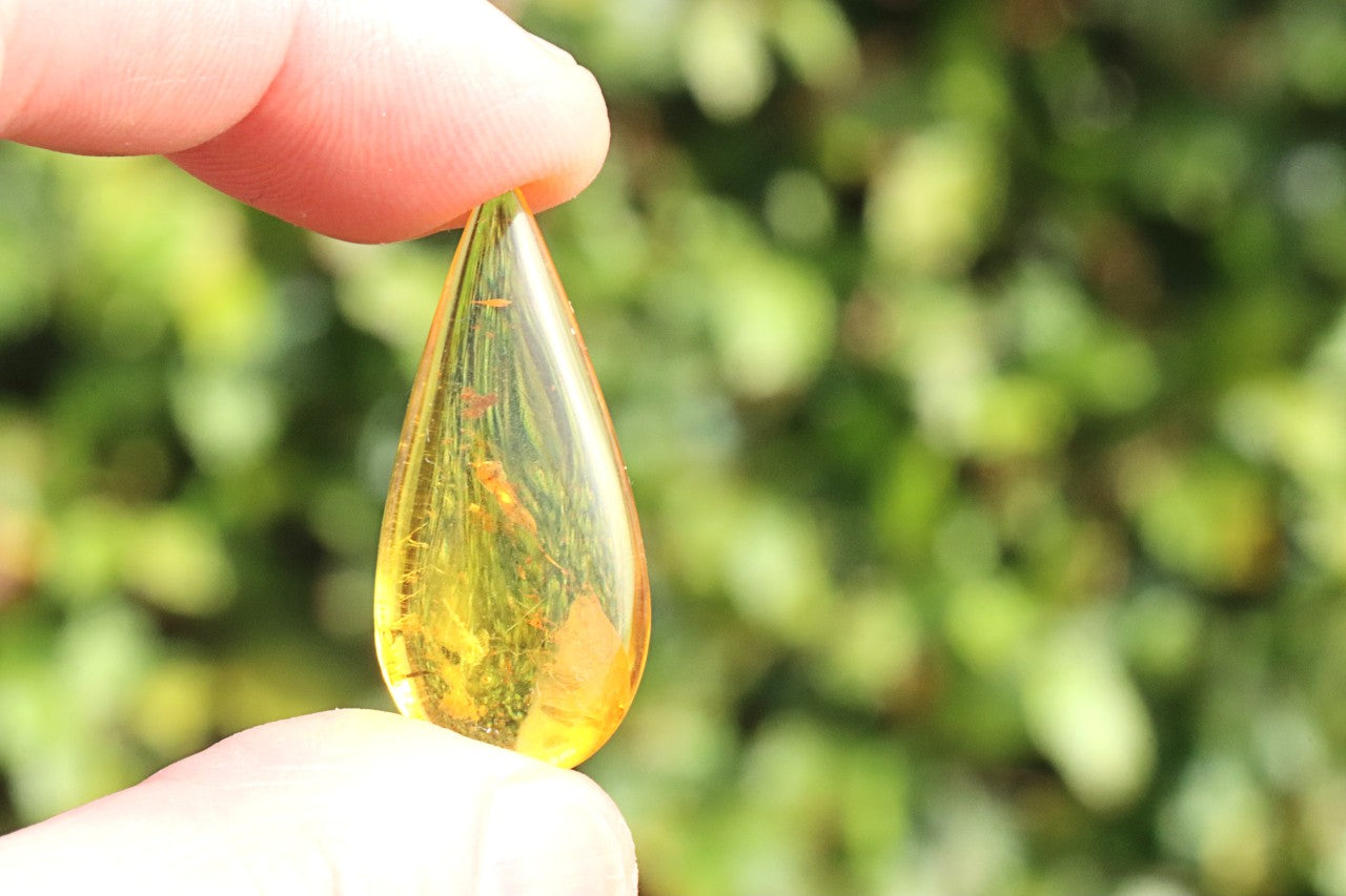 Tiny Insect in Amber | Natural Gemstone for Collectors & Jewellery Making
