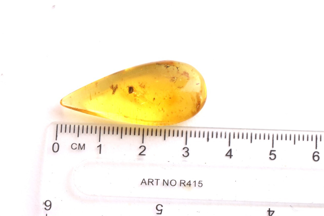 Tiny Insect in Amber | Natural Gemstone for Collectors & Jewellery Making
