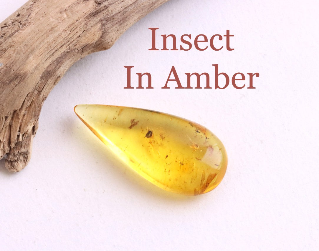Tiny Insect in Amber | Natural Gemstone for Collectors & Jewellery Making