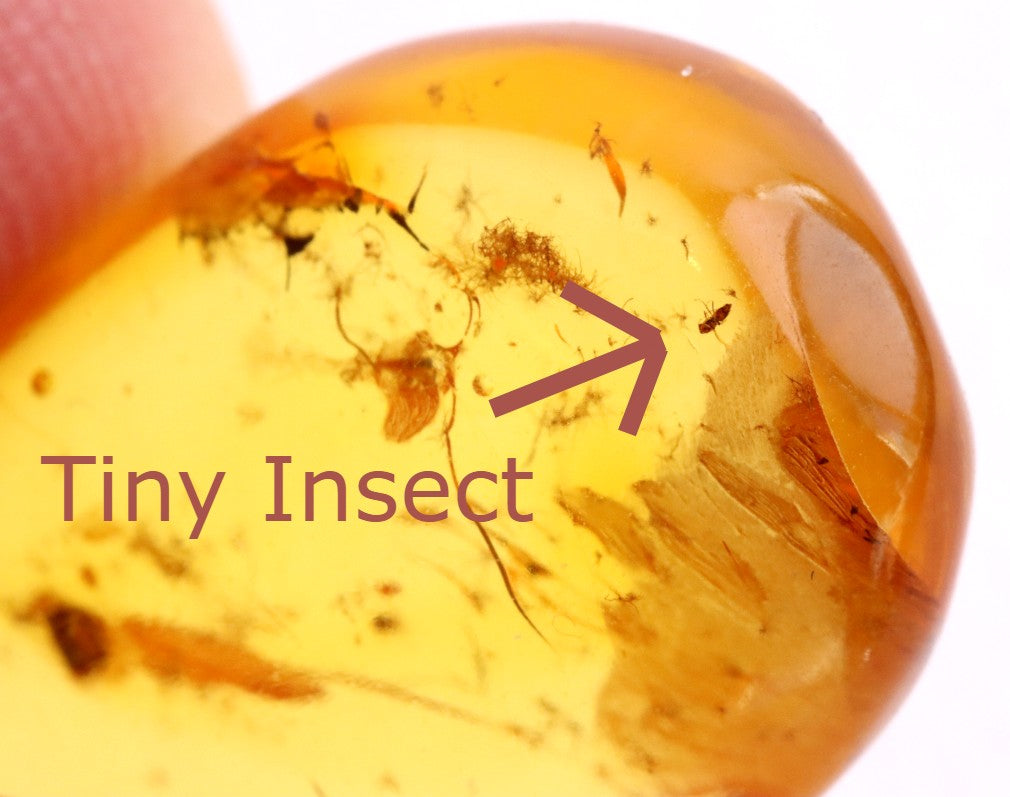 Tiny Insect in Amber | Natural Gemstone for Collectors & Jewellery Making