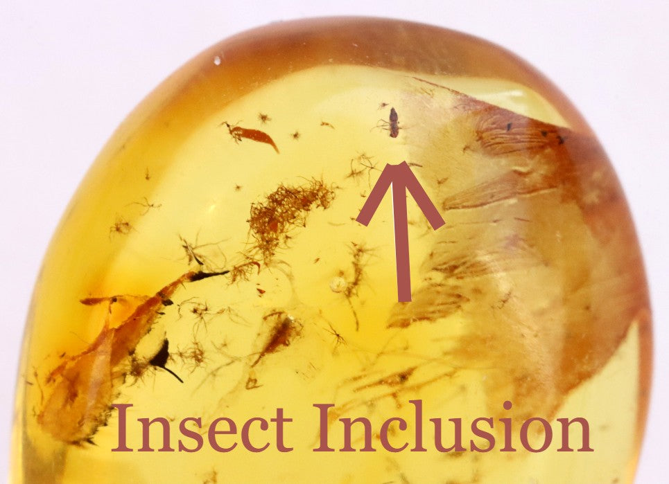 Tiny Insect in Amber | Natural Gemstone for Collectors & Jewellery Making