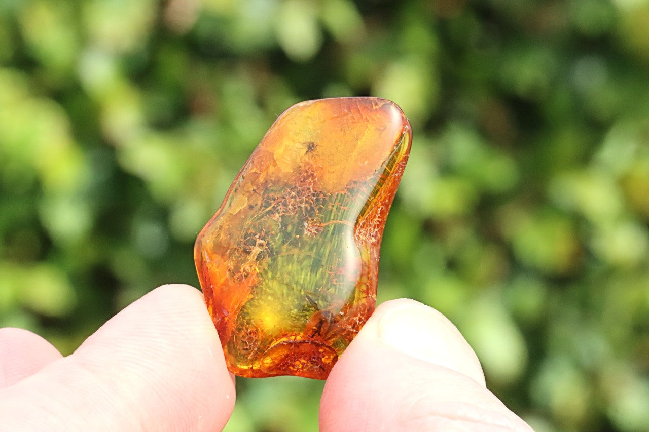 Baltic Amber Gem with 3 Insects Inclusion