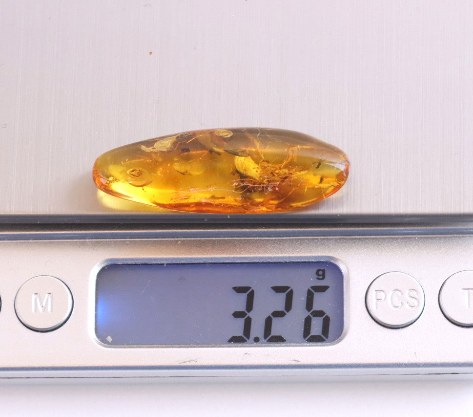 Baltic Amber with 6 Insect Inclusions