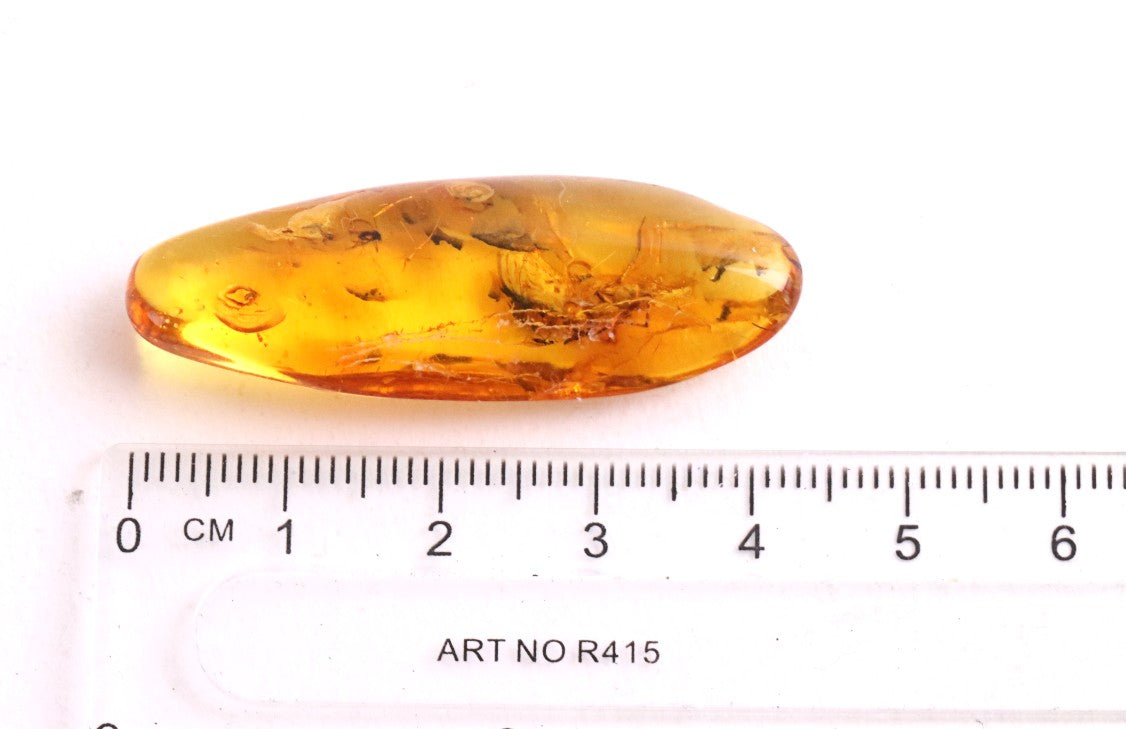 Baltic Amber with 6 Insect Inclusions