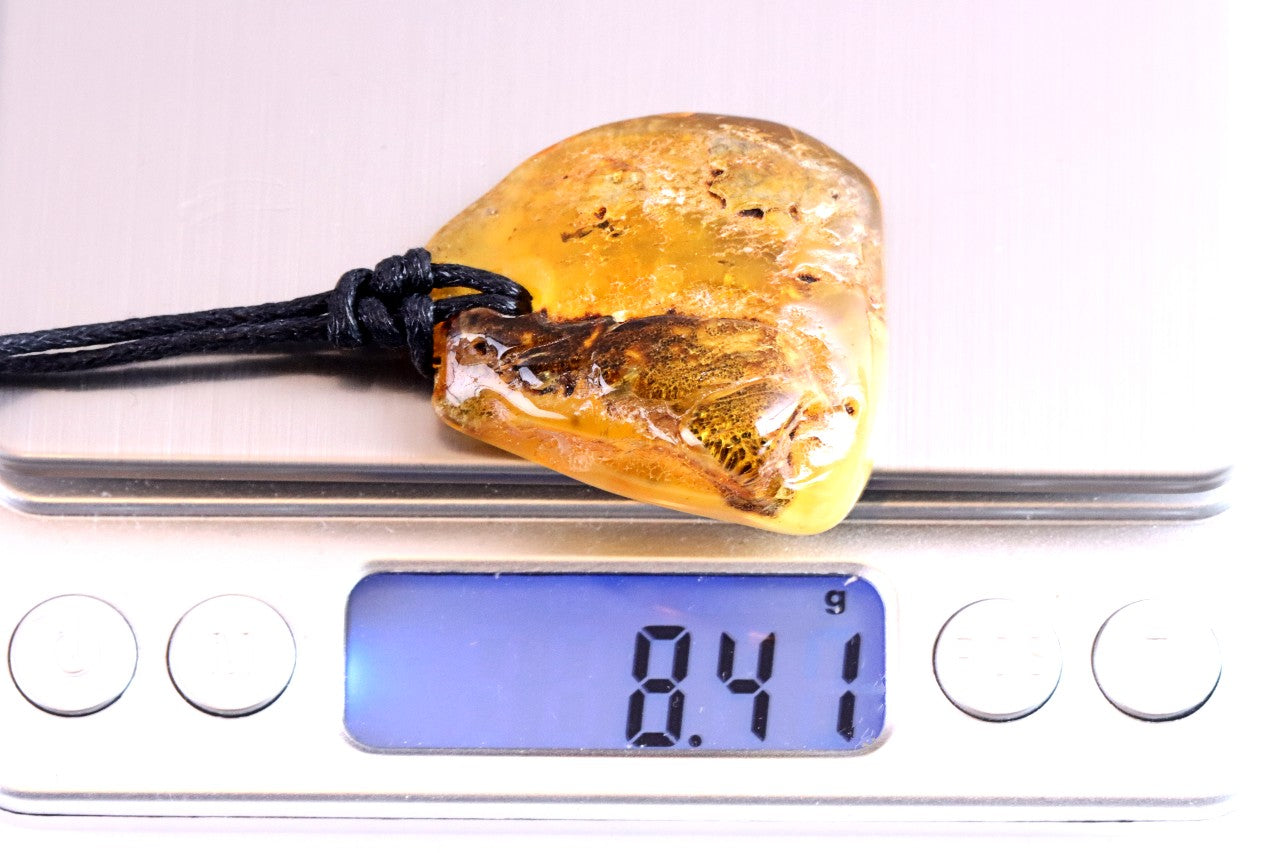 Baltic Amber Amulet Pendant with Free Extra Amulet