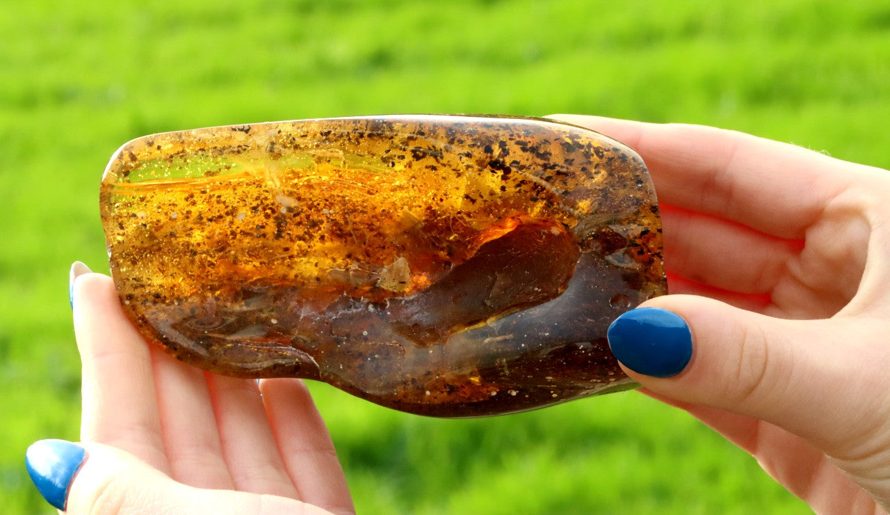 Unbelievable Large of 146g Baltic Amber Collector's Gem