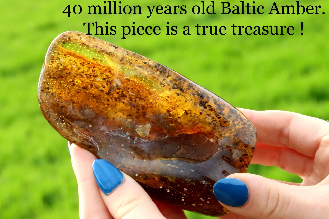 Unbelievable Large of 146g Baltic Amber Collector's Gem