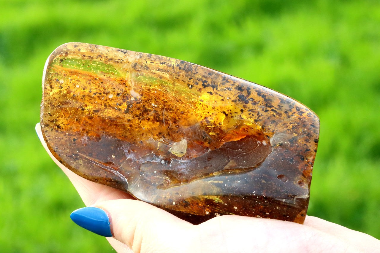 Unbelievable Large of 146g Baltic Amber Collector's Gem