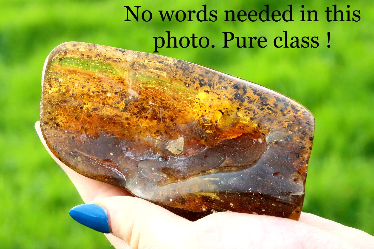 Unbelievable Large of 146g Baltic Amber Collector's Gem
