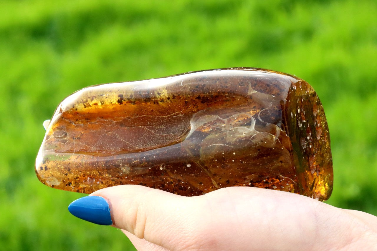 Unbelievable Large of 146g Baltic Amber Collector's Gem