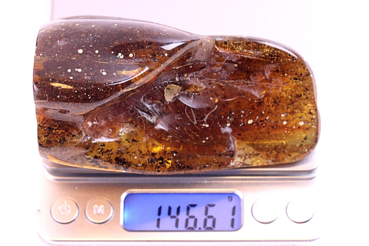 Unbelievable Large of 146g Baltic Amber Collector's Gem