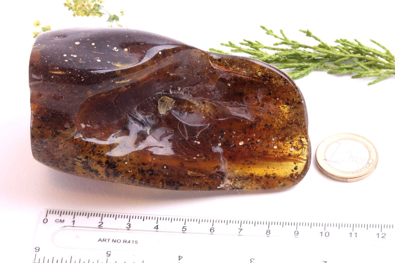 Unbelievable Large of 146g Baltic Amber Collector's Gem