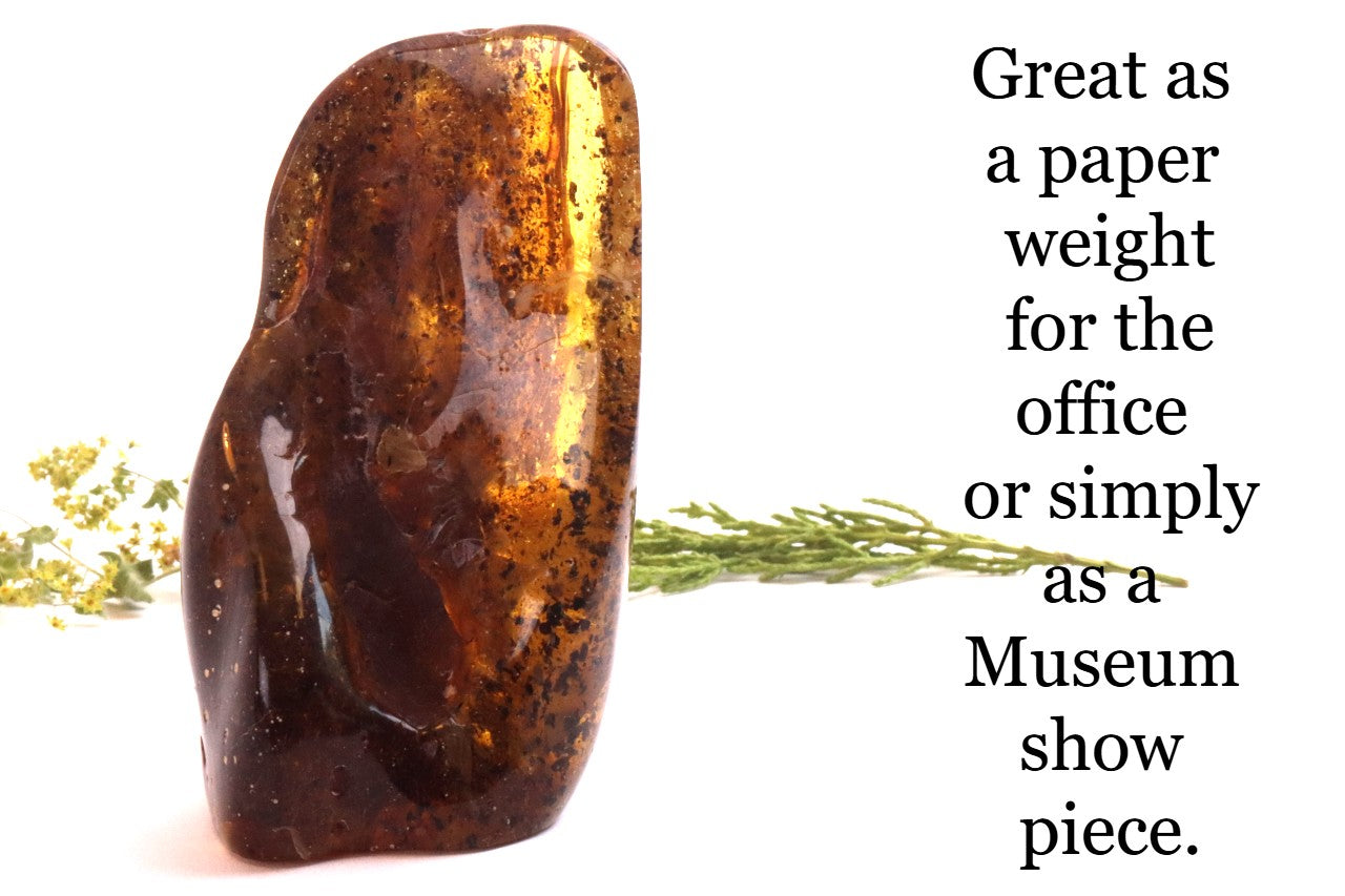 Unbelievable Large of 146g Baltic Amber Collector's Gem