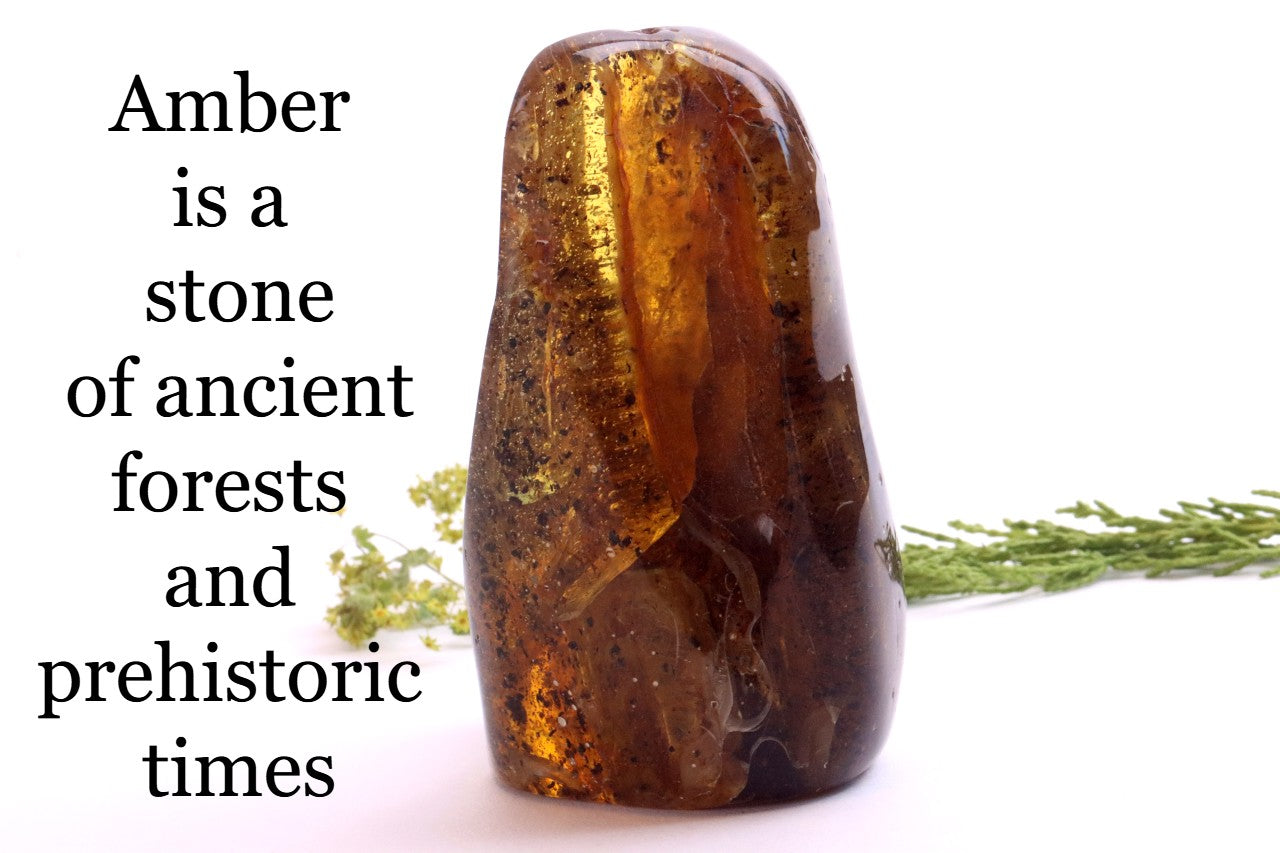 Unbelievable Large of 146g Baltic Amber Collector's Gem