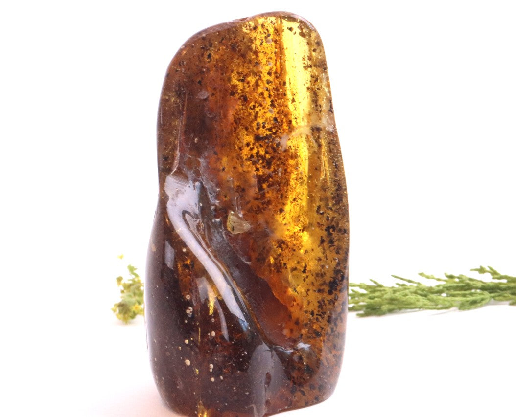 Unbelievable Large of 146g Baltic Amber Collector's Gem