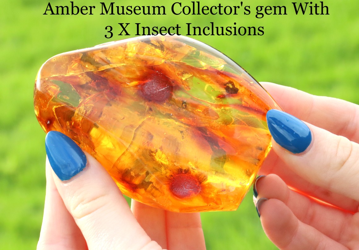 Amber Insect Inclusion Museum Collector's gem With 3 X Insect Inclusions