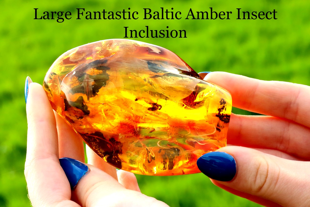 Amber Insect Inclusion Museum Collector's gem With 3 X Insect Inclusions