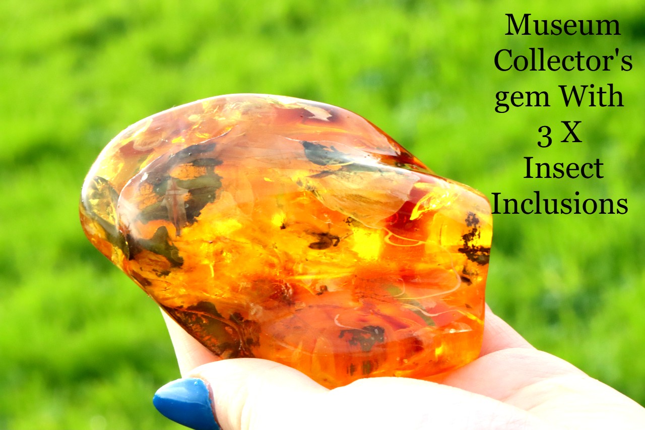 Amber Insect Inclusion Museum Collector's gem With 3 X Insect Inclusions
