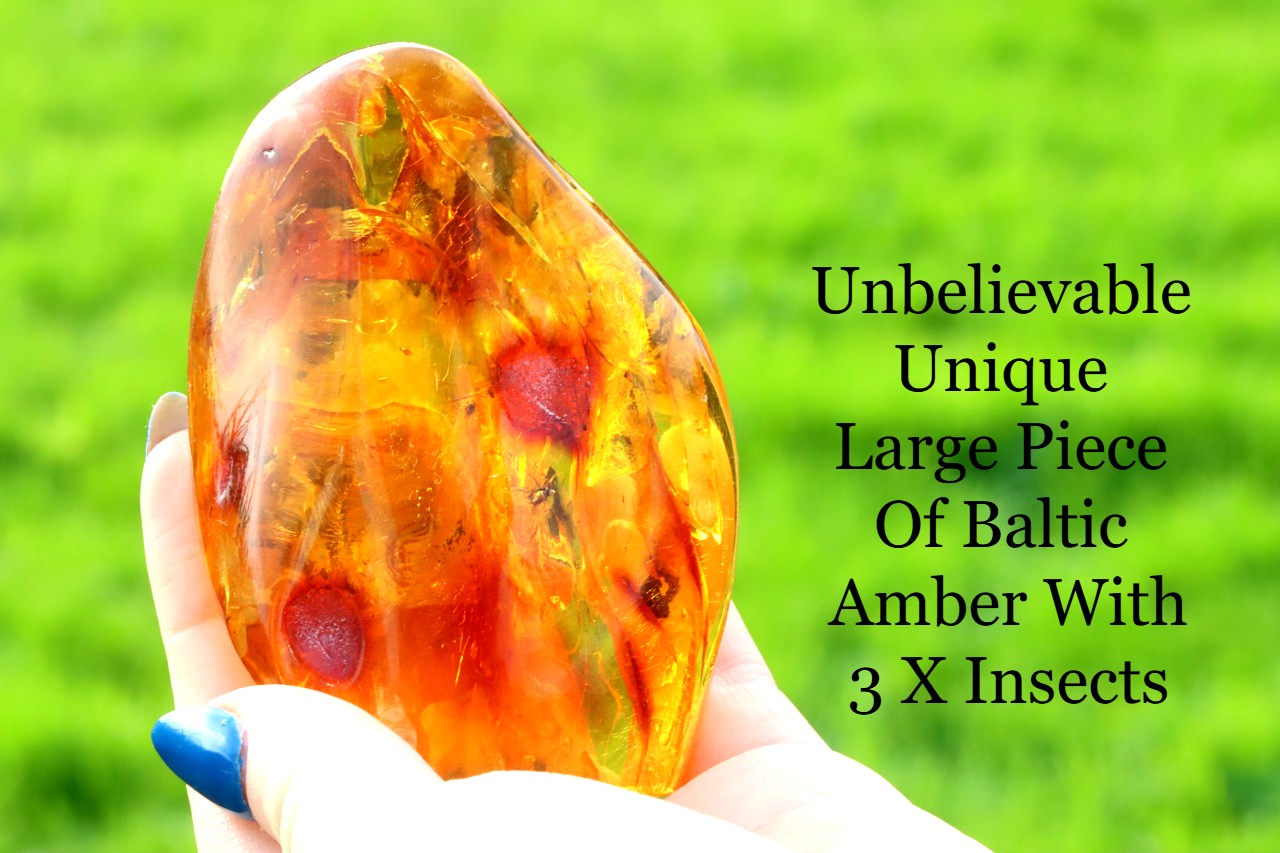 Amber Insect Inclusion Museum Collector's gem With 3 X Insect Inclusions