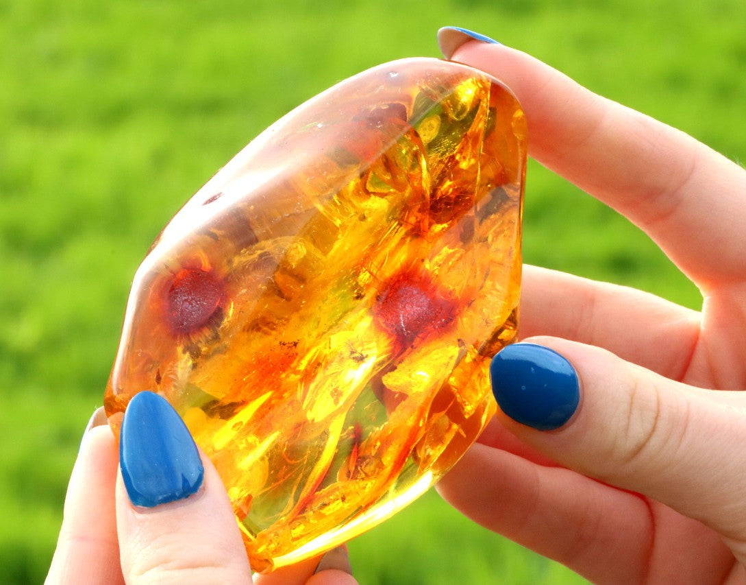 Amber Insect Inclusion Museum Collector's gem With 3 X Insect Inclusions