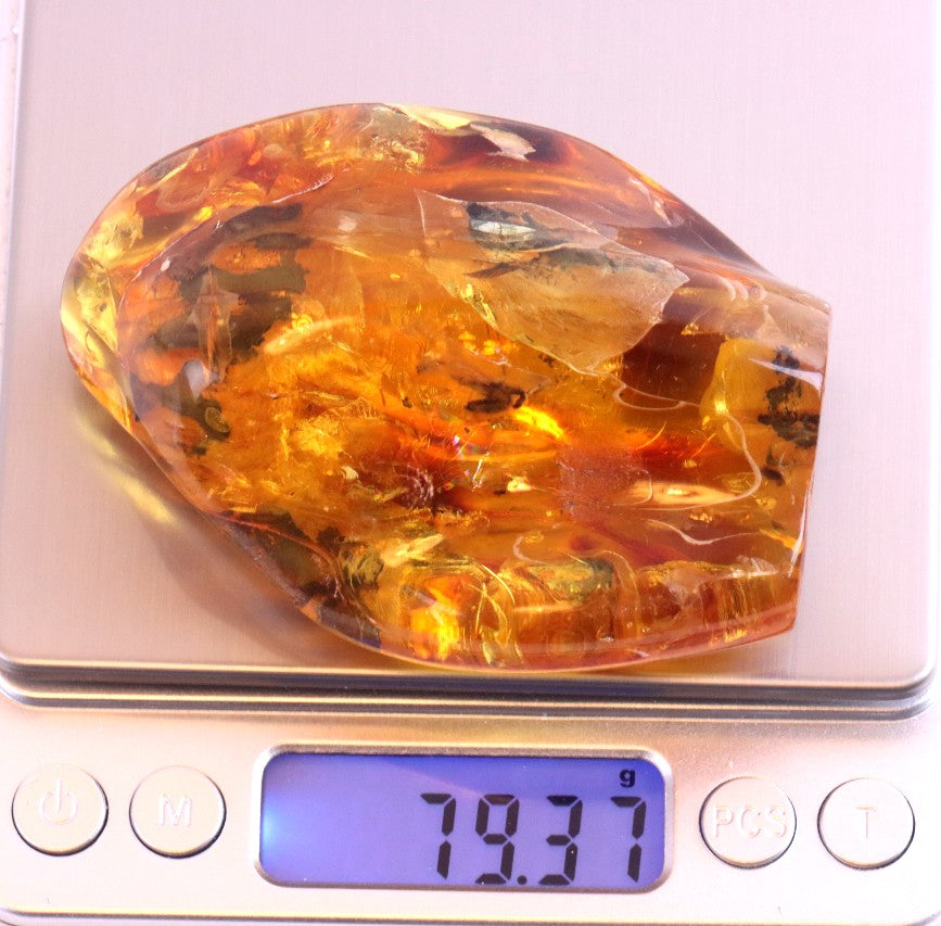 Amber Insect Inclusion Museum Collector's gem With 3 X Insect Inclusions