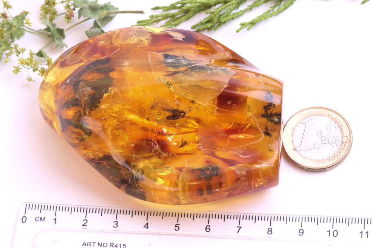 Amber Insect Inclusion Museum Collector's gem With 3 X Insect Inclusions