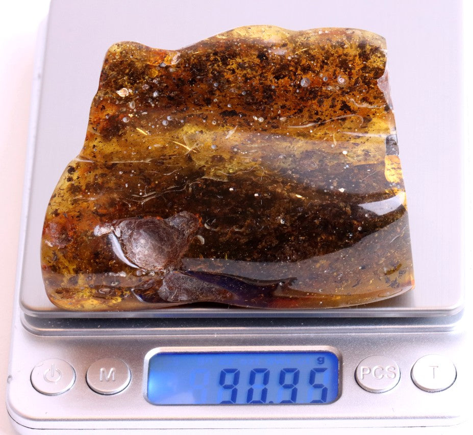 Grade AAA Baltic Amber Collector’s Gemstone