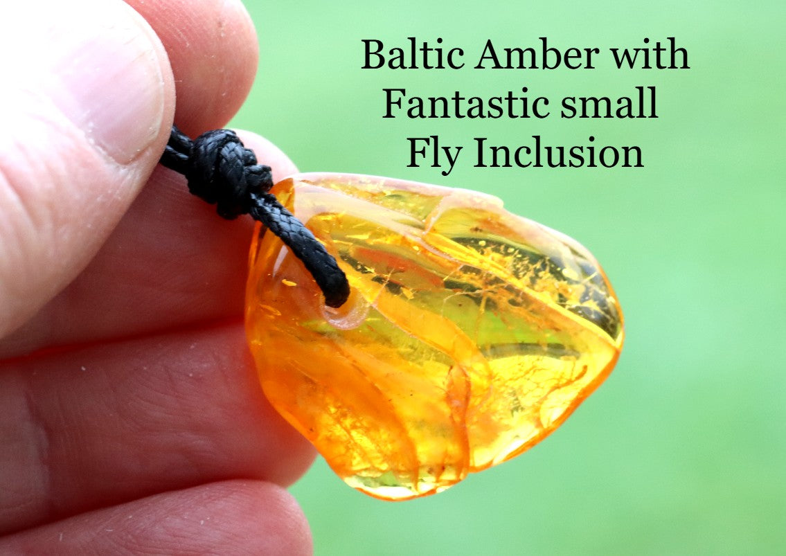 Insect in Baltic Amber Amulet Pendant