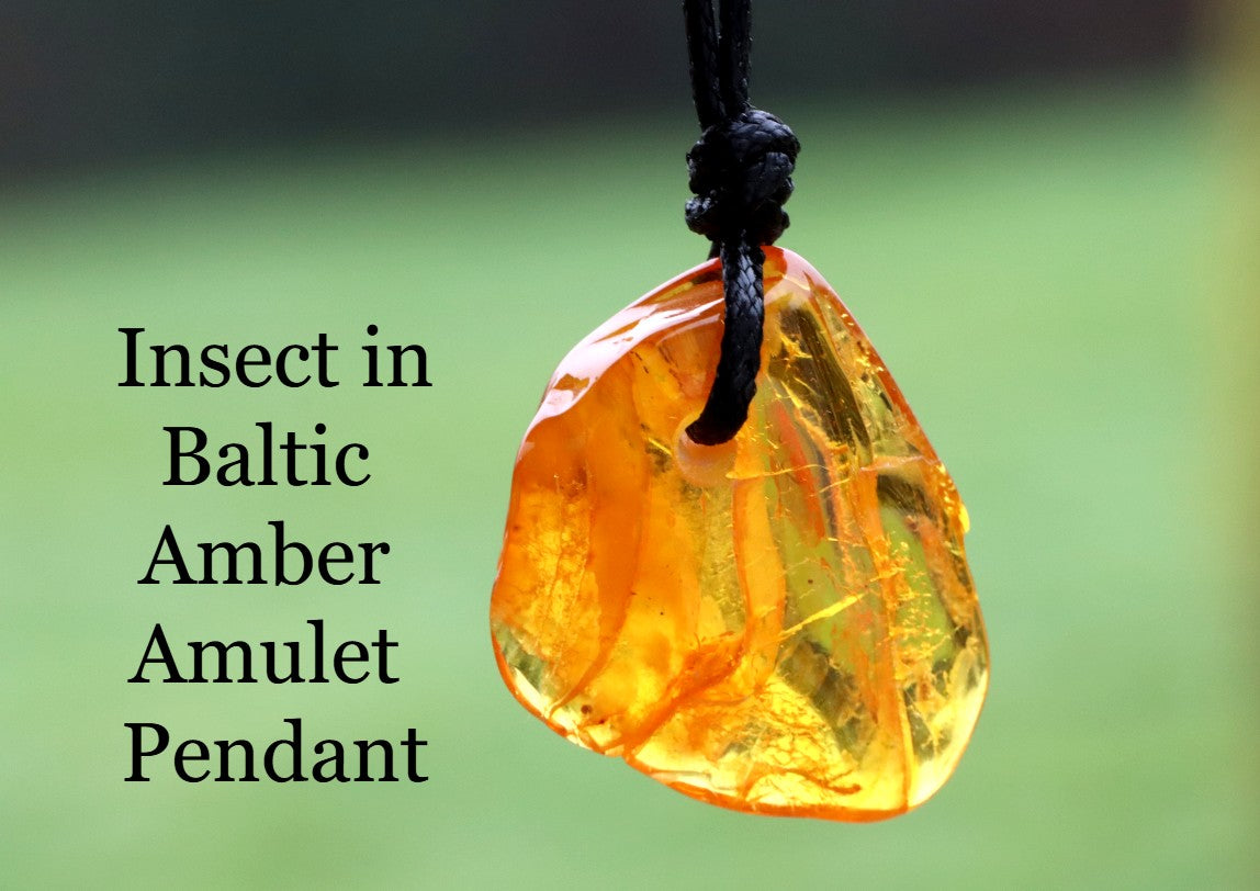 Insect in Baltic Amber Amulet Pendant