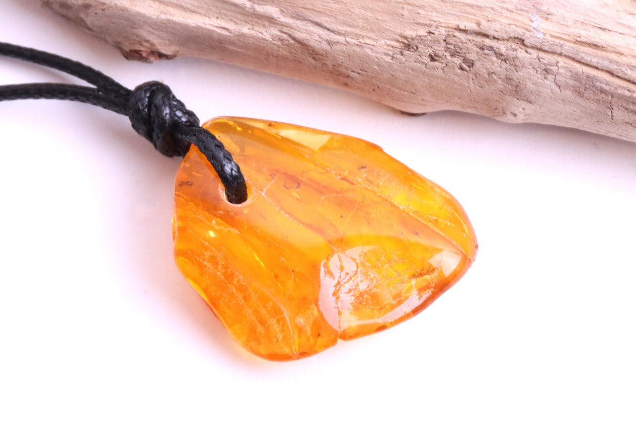 Insect in Baltic Amber Amulet Pendant